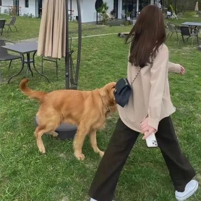 墨西哥村庄